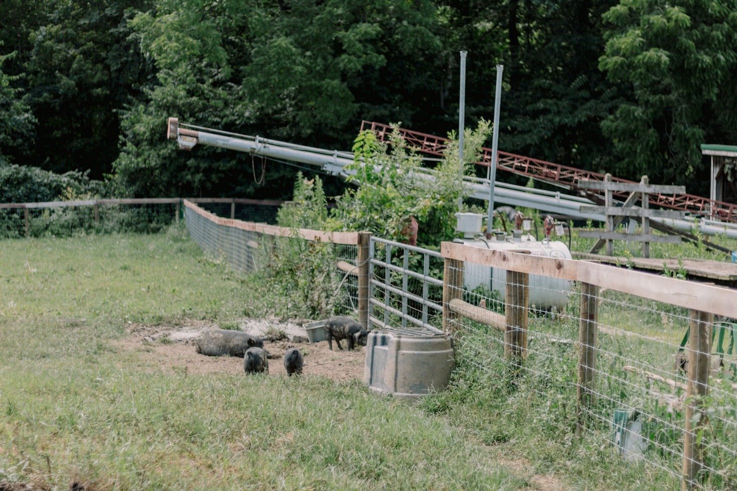 Come nasce un’azienda agricola biologica familiare