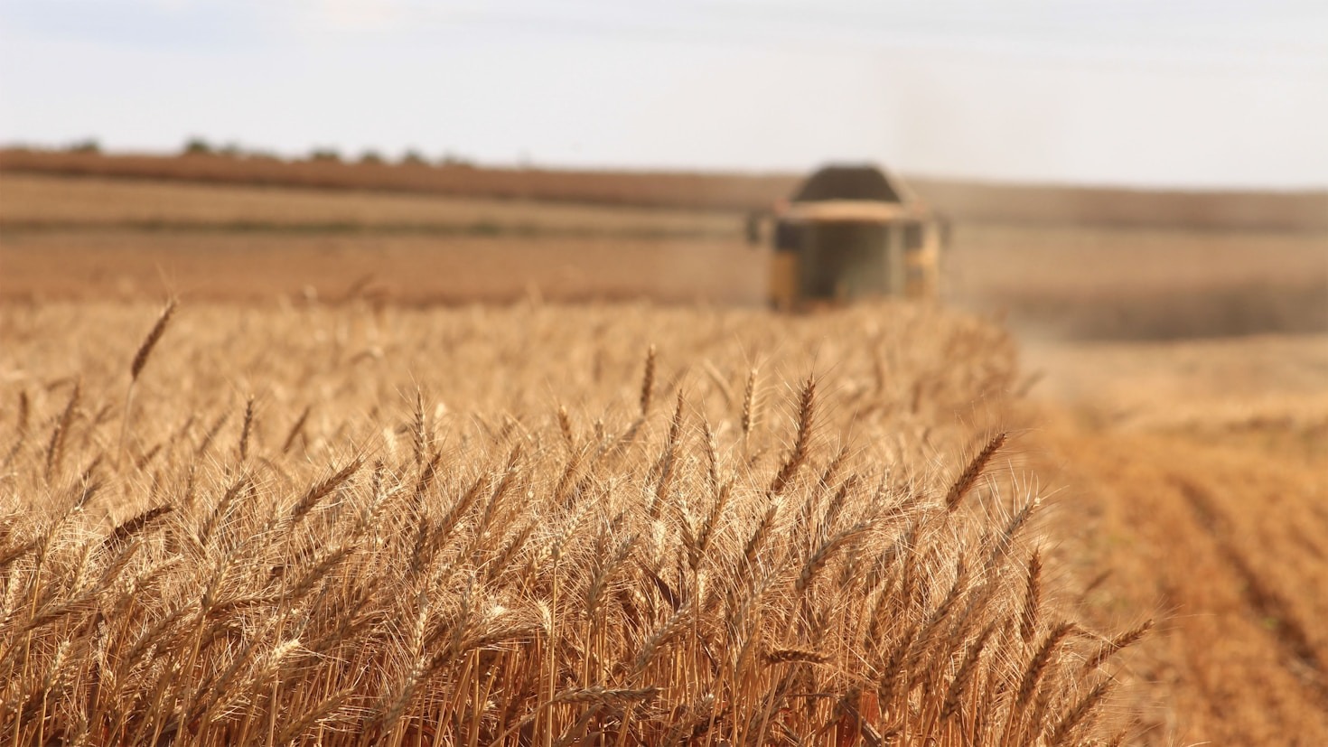 Pratiche agricole sostenibili per un futuro migliore