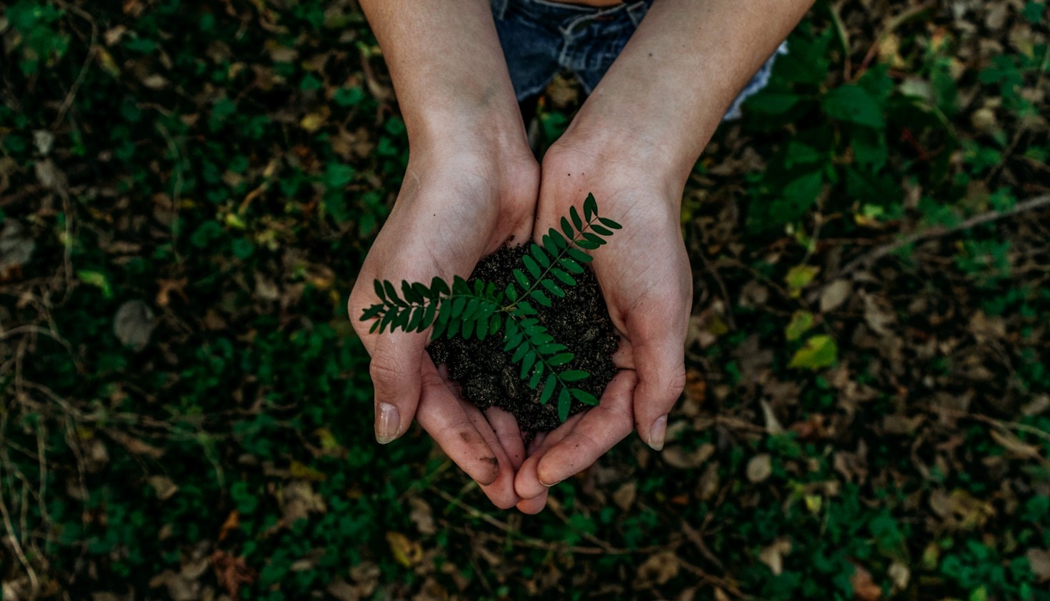 La connessione tra tradizione e innovazione agricola